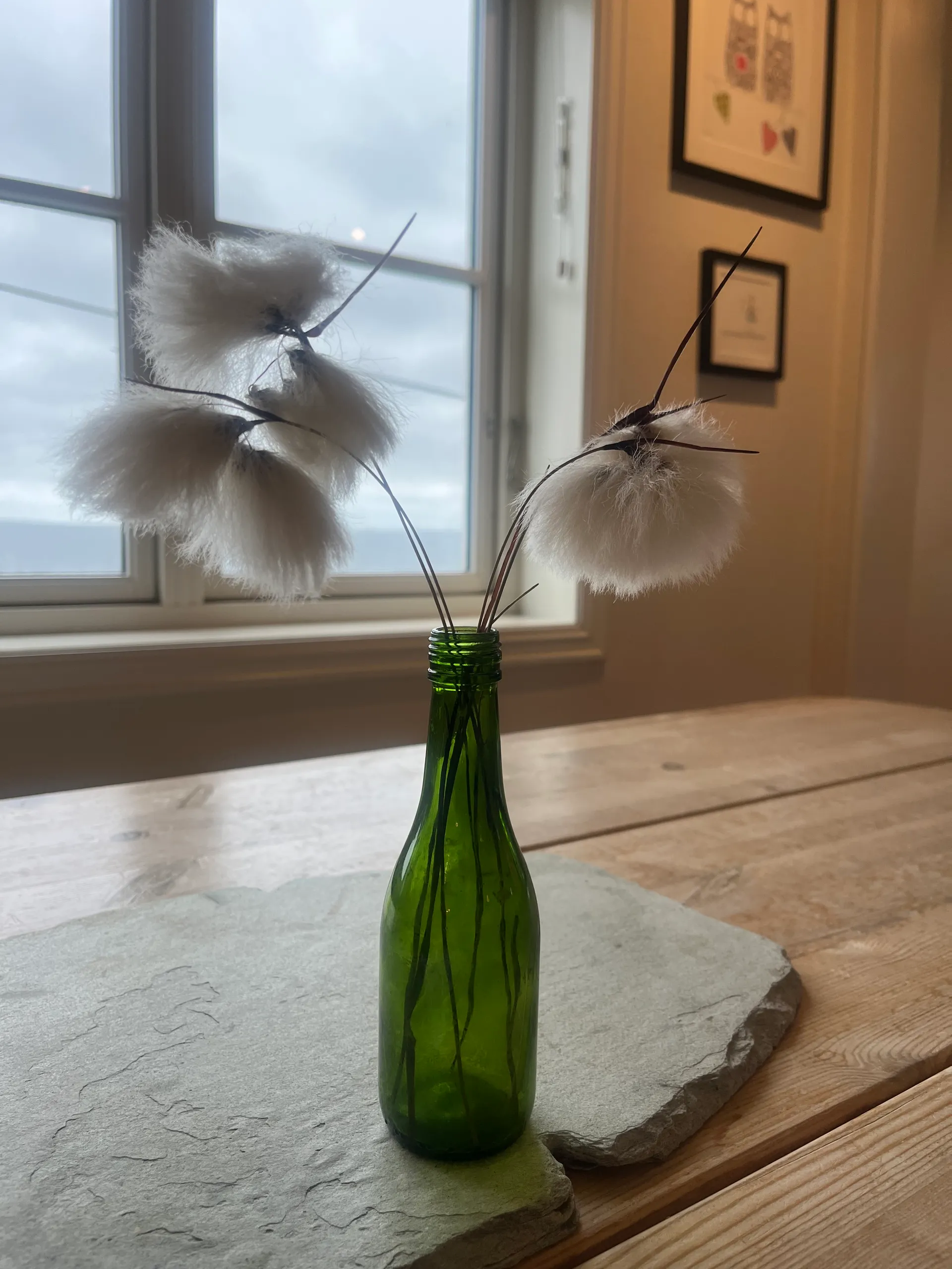 A green glass bottle on a slate slab holding fluffy white cotton-grass stems, set on a rustic table by a window looking out to the grey sea, with framed art on the wall behind
