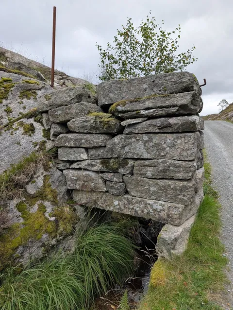A close-up of a traditional dry-stone wall beside the gravel path, with a birch sapling growing from the top