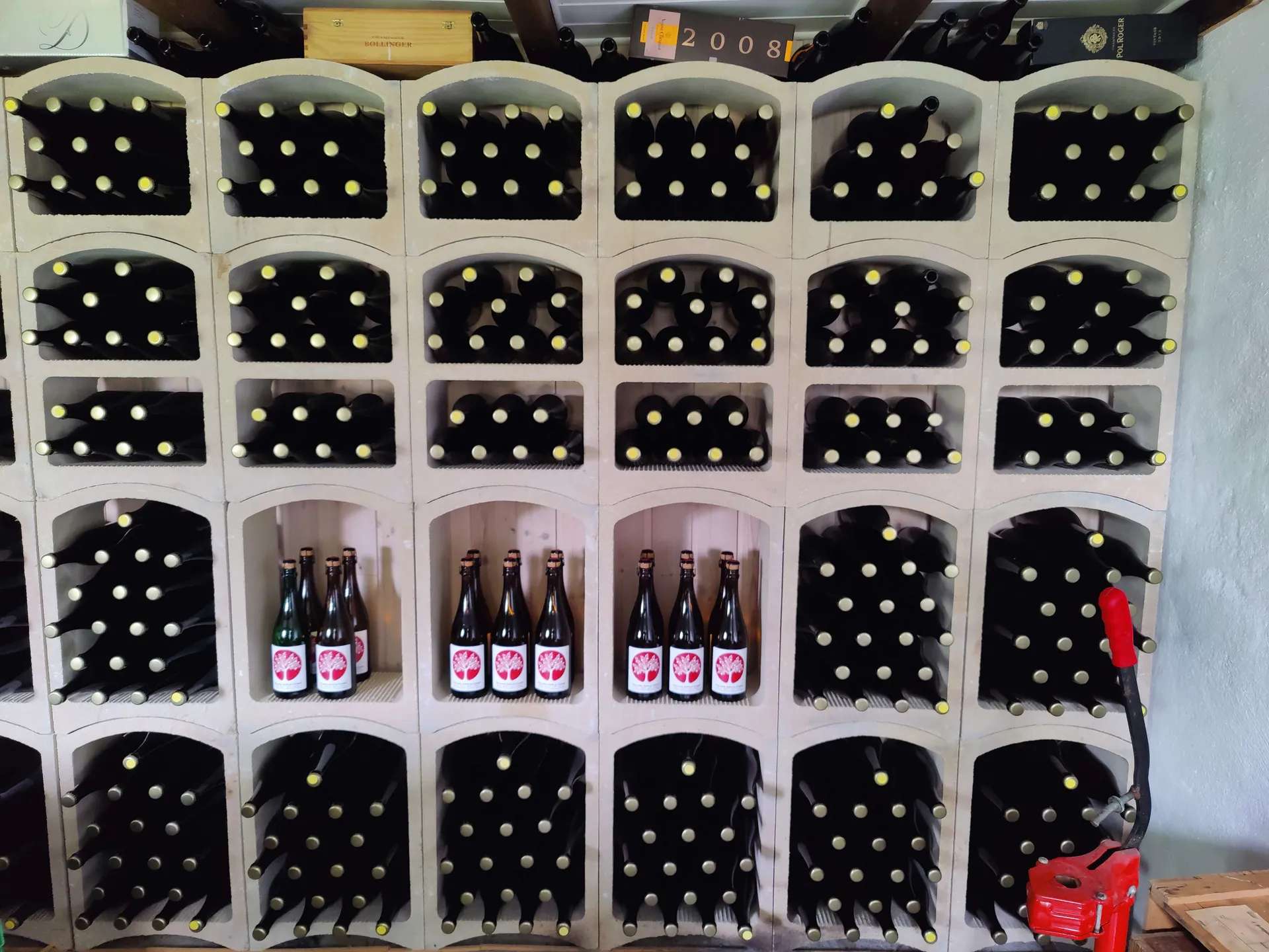 Concrete cellar racks filled with bottles, with three niches of the farm's own labelled apple cider