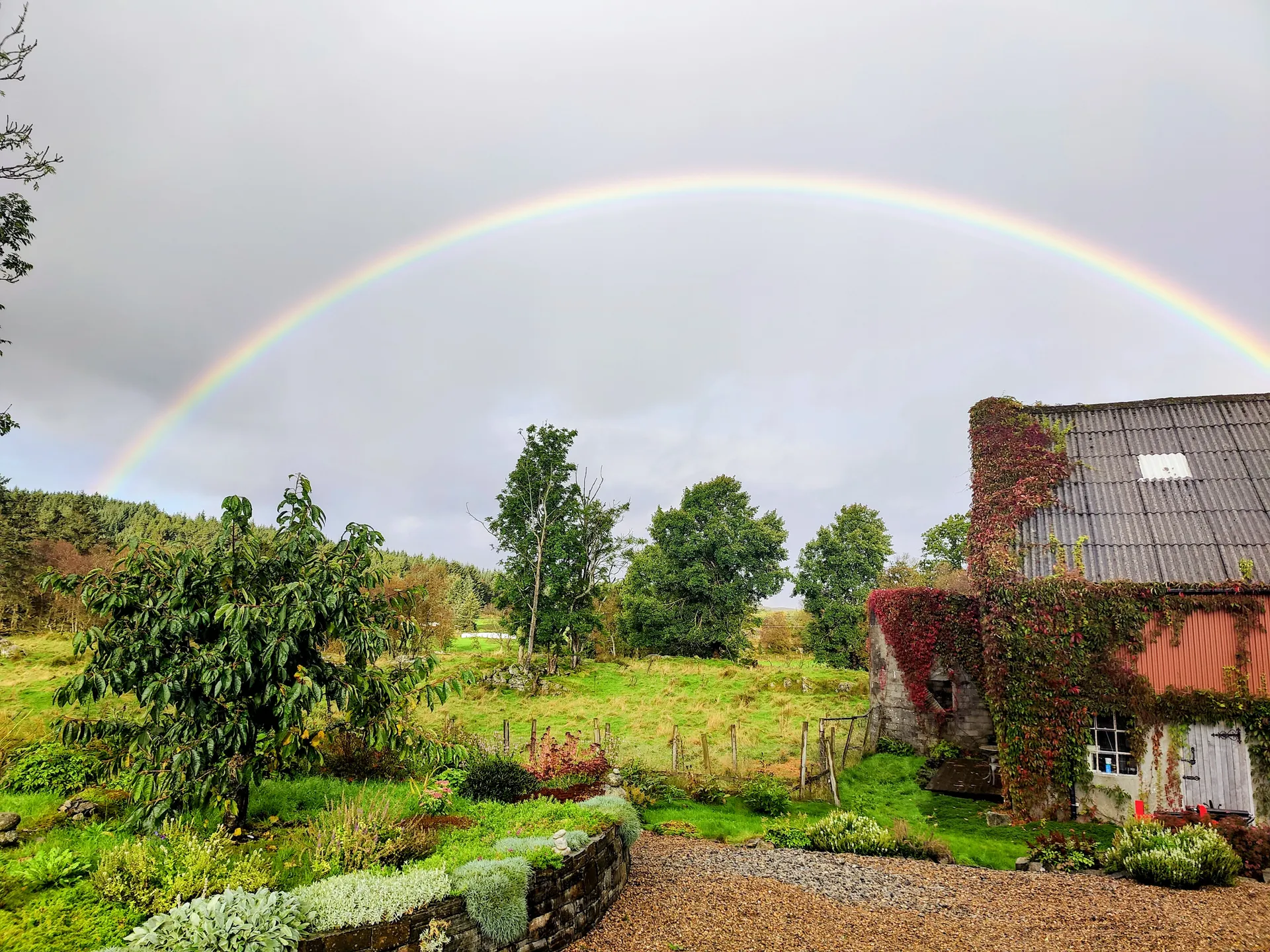 Apple pressing and cider making tour highlight 2