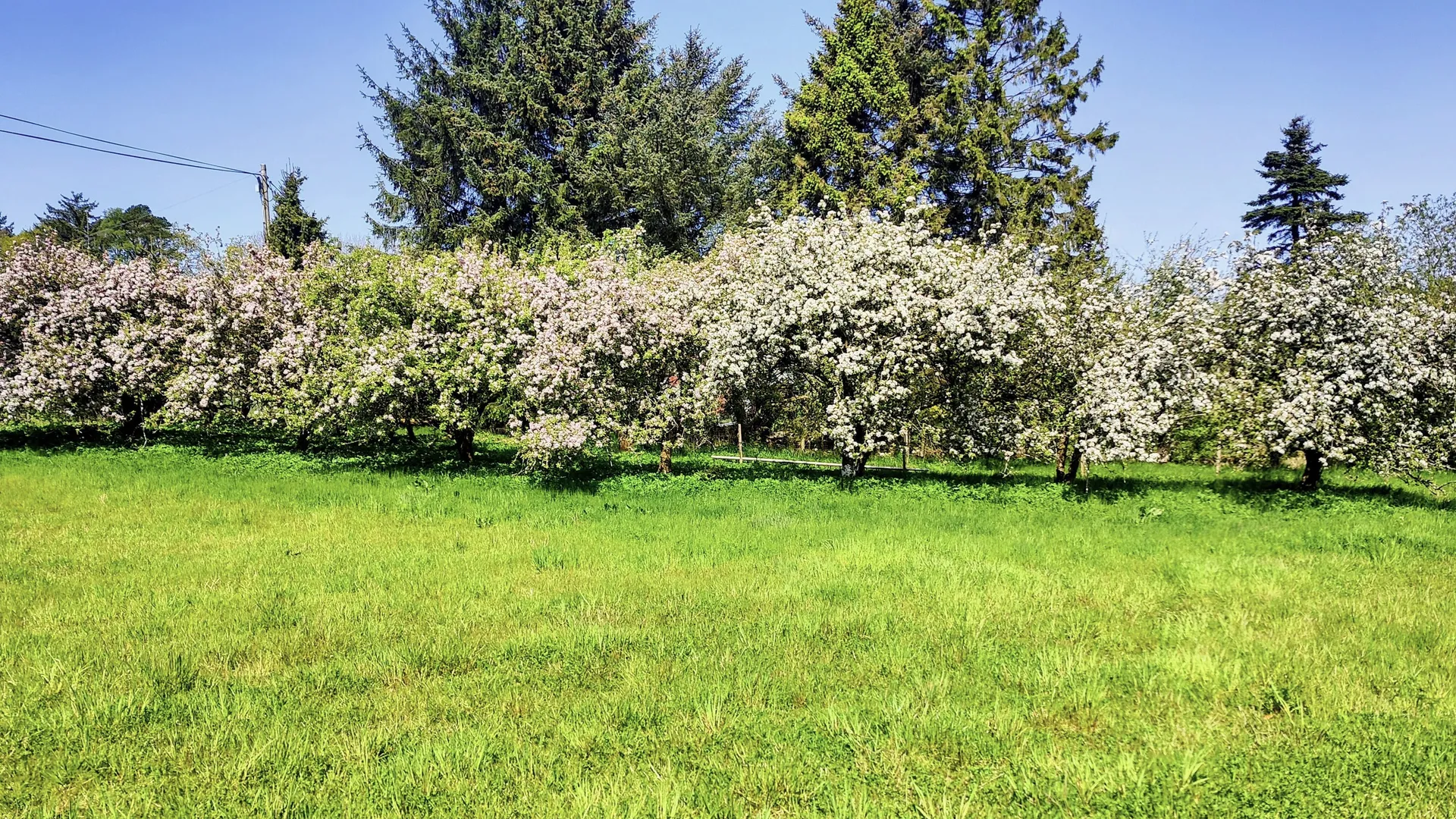 Apple Pressing & Cider Making Tour scenery 1