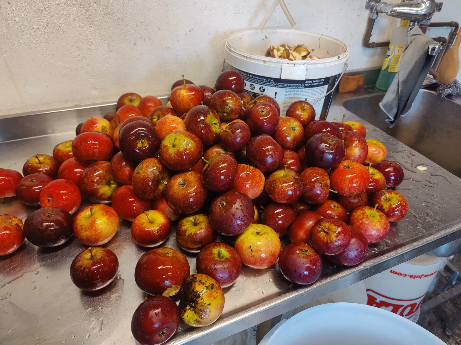 Apple Pressing & Cider Making Tour